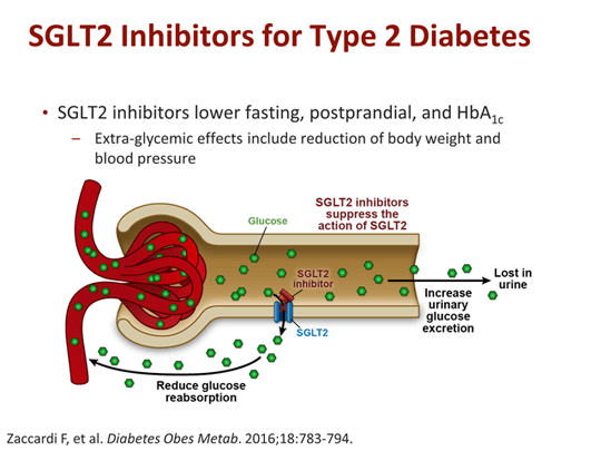 Inhibitorii de SGLT2, antidiabetice cu efect cardiovascular - Viața Medicală