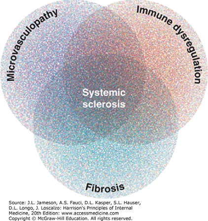 Sclerodermie - fiziopatologie