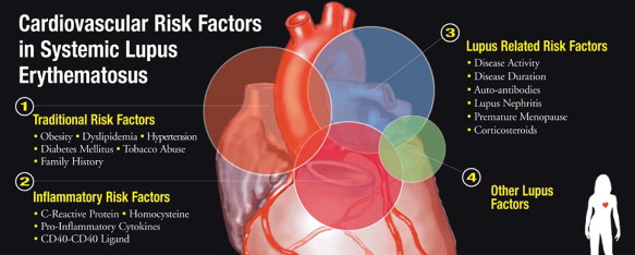 Factorii de risc cardiovascular prezenți la pacienții cu lupus eritematos sistemic