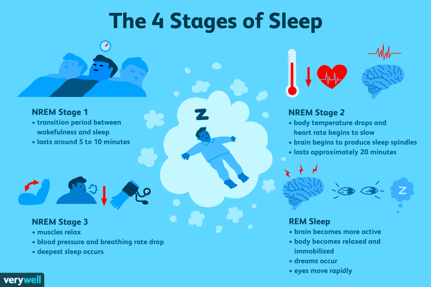 Fazele ciclului somnului