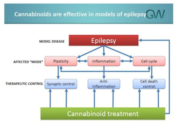 Rolul canabinoidului în epilepsie