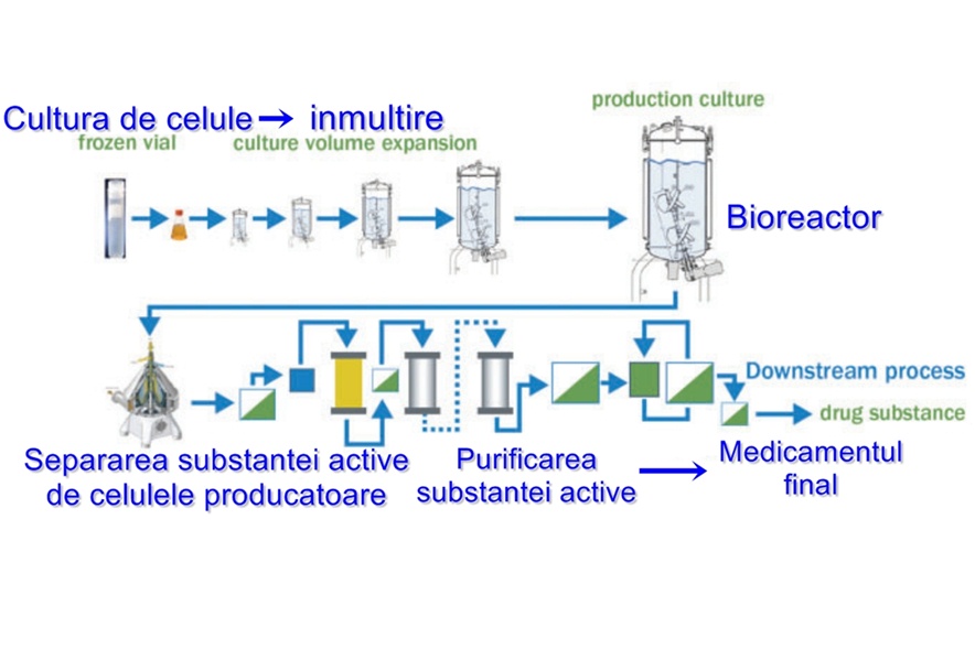 schema productie medicamente biologice