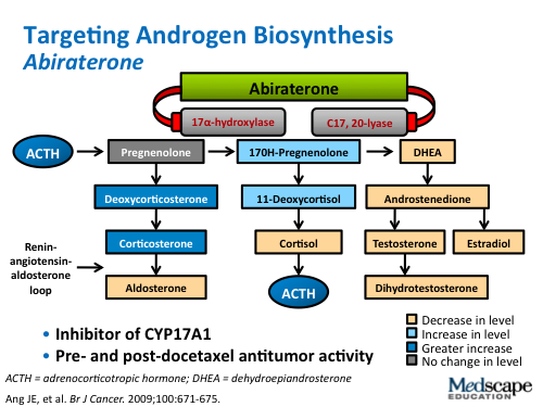 Mecanismul de acțiune al abirateronei acetat