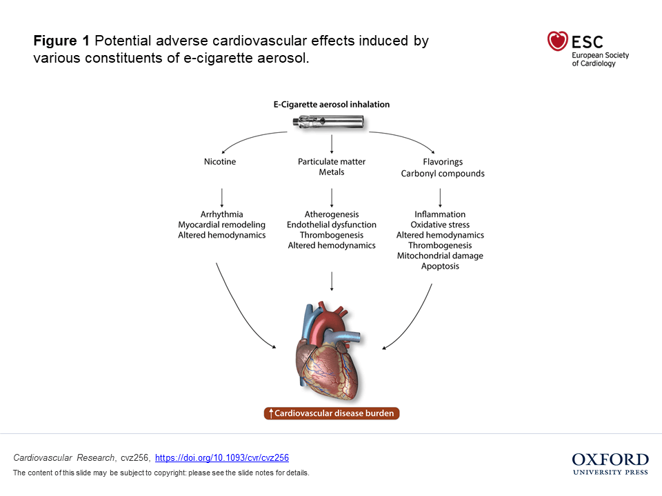 Efectele țigărilor electronice asupra inimii
