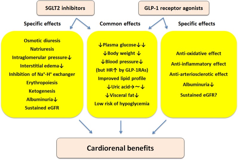 Inhibitorii SGLT2 și agoniștii GLP1