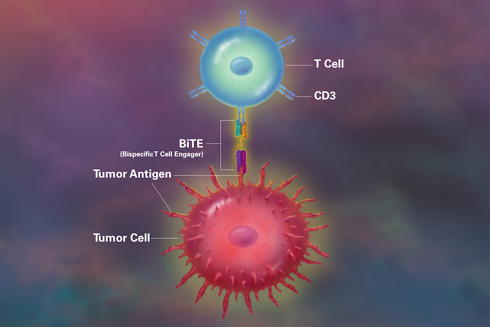 Ilustrare contact limfocit T - celulă tumorala