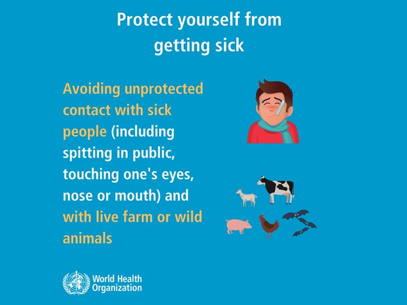 Reguli igienă pentru protecția contra infecțiilor respiratorii, cu transmitere de la animale la om