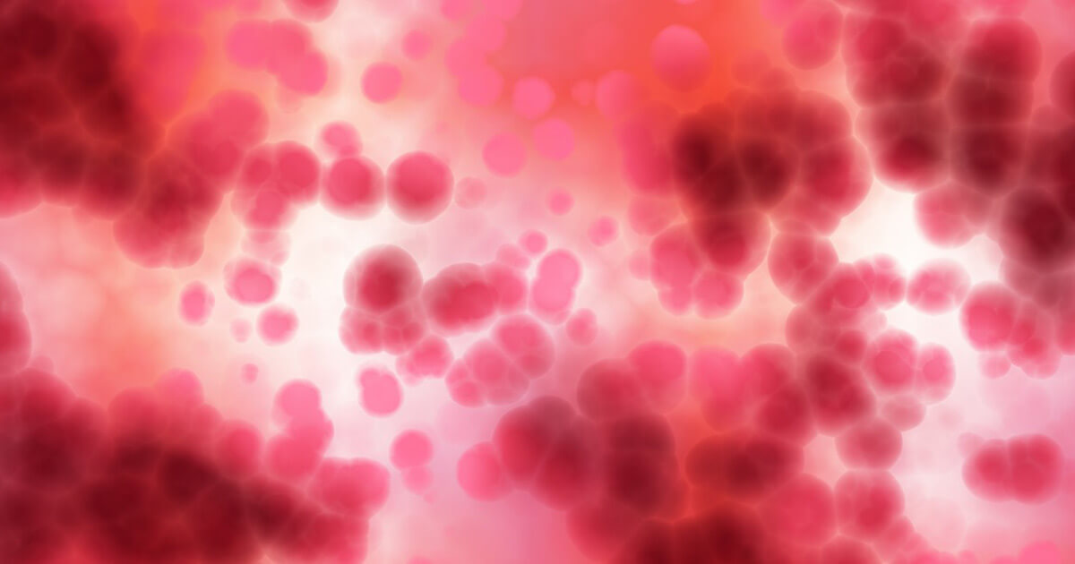 Frotiu sânge imagine microscop