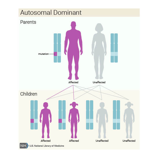 model de transmitere genetică autozomal dominant