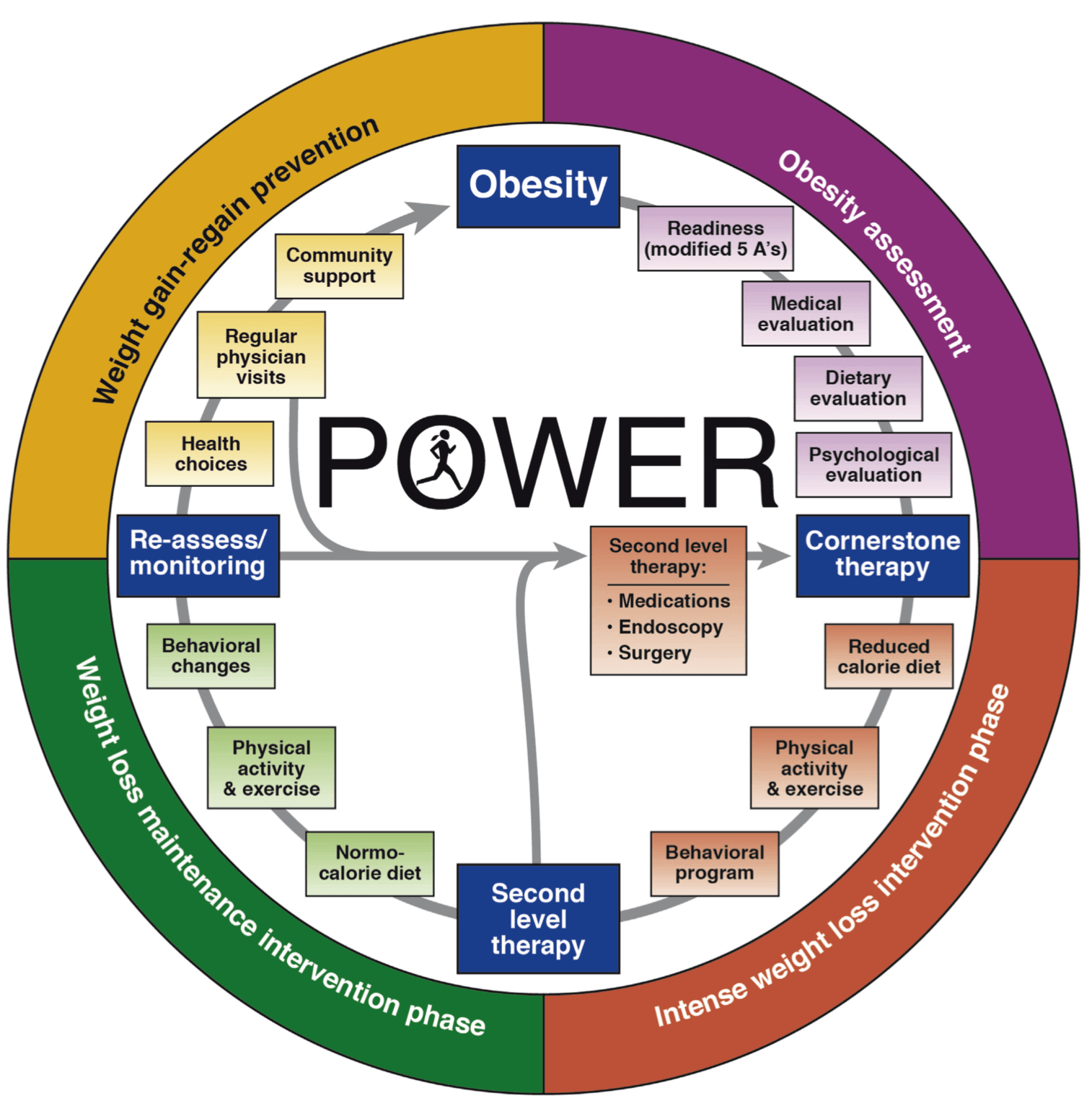 program POWER obezitate