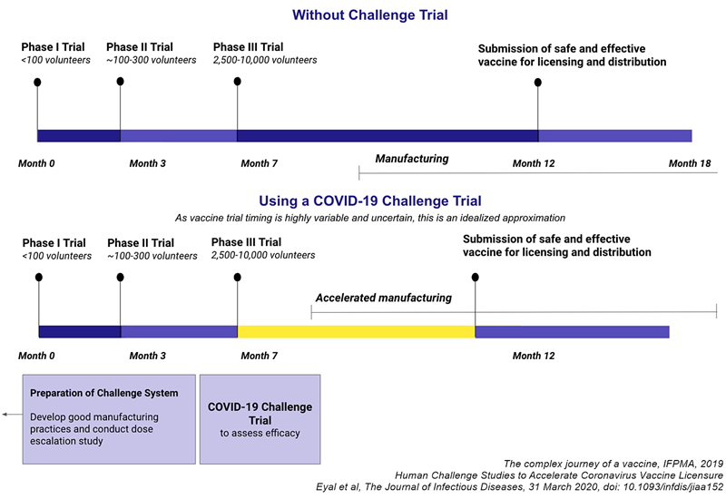 proces clasic studiere vaccin faza I II III comparație studiu infectare human challange study accelerare aprobare COVID-19 SARS-CoV-2 coronavirus